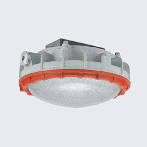 BZD180-111系列防爆免维护LED照明灯(IIC)